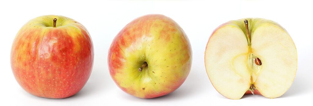 Apple acquisition startup